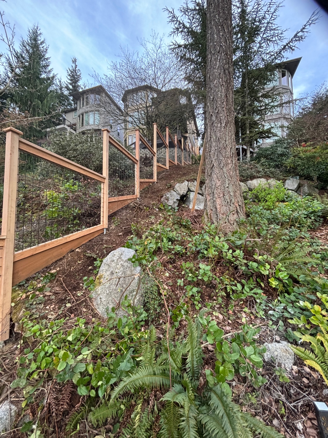 Hillside Cedar Rail Fence